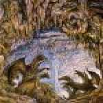 thumb_1518 (Medium).jpg